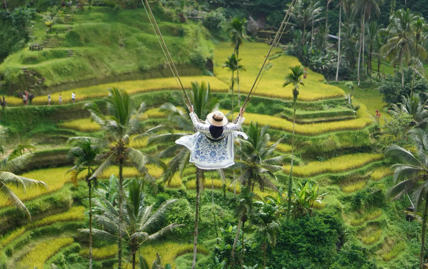 Guest overlooking the rice terraces of Bali